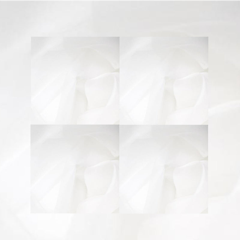 SILK ORGANZA - Blancorganza